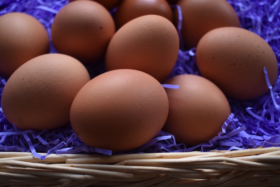 Eggs